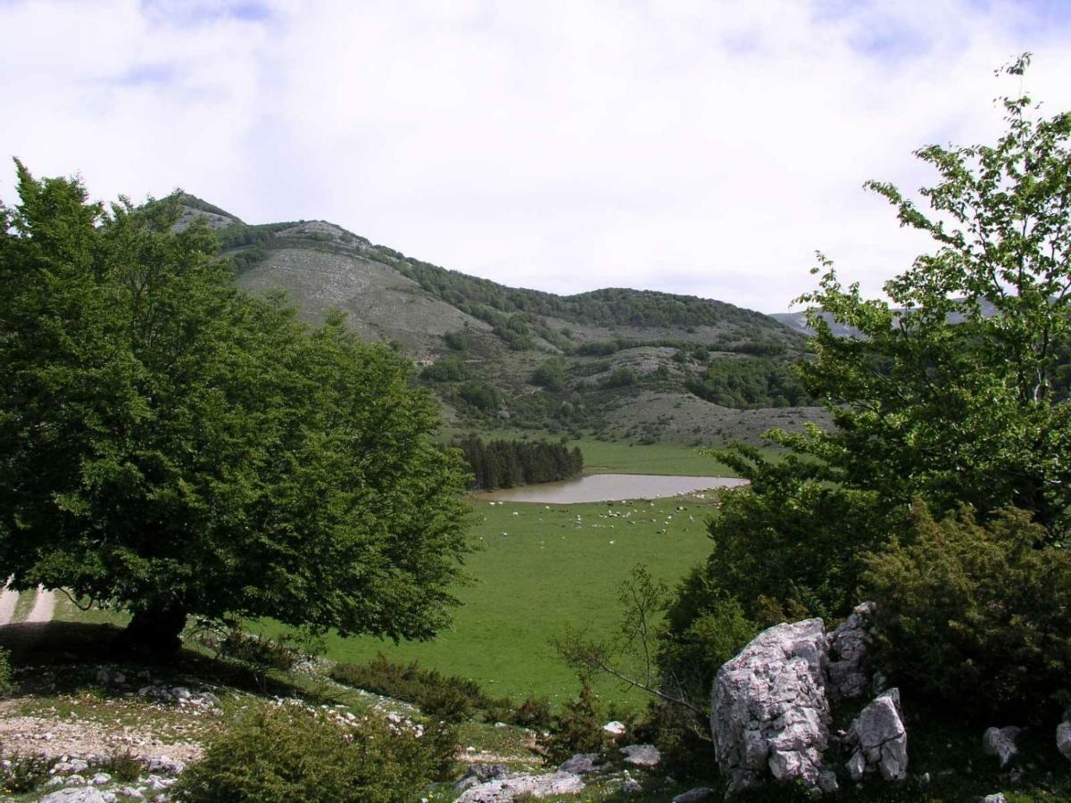 Agriturismo I Due Regni Petrella Salto エクステリア 写真