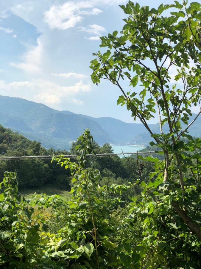 Agriturismo I Due Regni Petrella Salto エクステリア 写真